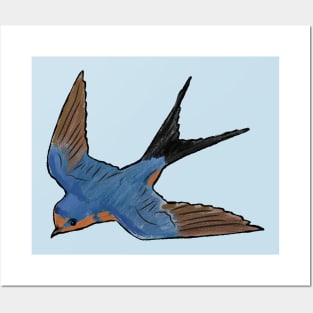 Barn Swallow Posters and Art